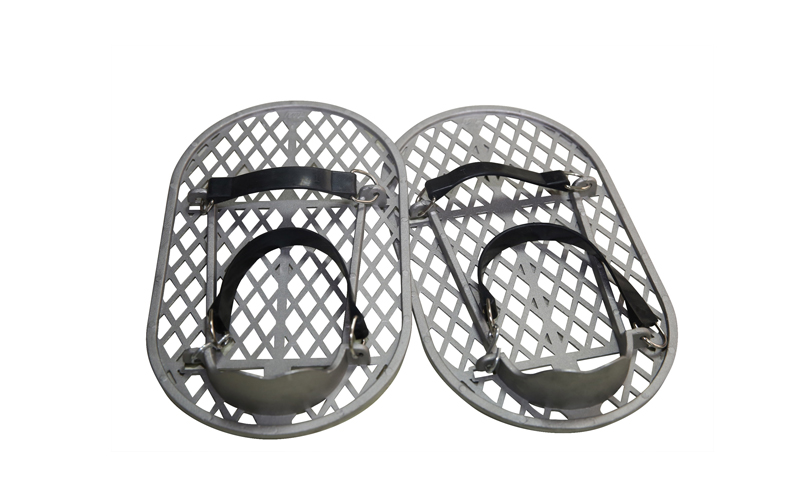 Zapatos Para pulir Piso