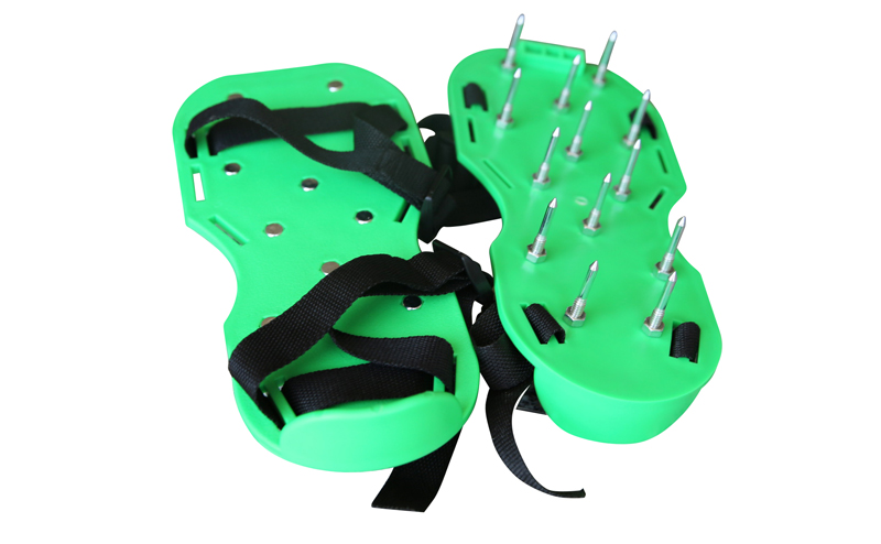 Zapato de puas